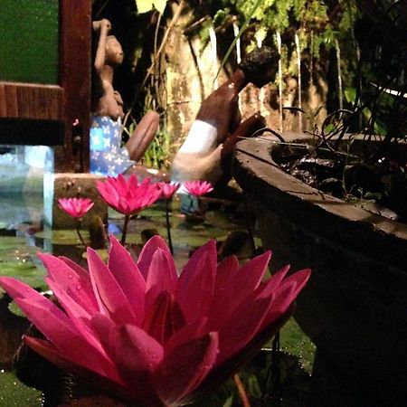 Bed and Breakfast The Lotus Garden à Puerto Princesa Extérieur photo