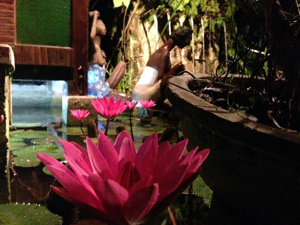 Bed and Breakfast The Lotus Garden à Puerto Princesa Extérieur photo