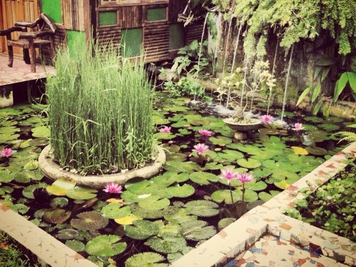 Bed and Breakfast The Lotus Garden à Puerto Princesa Extérieur photo